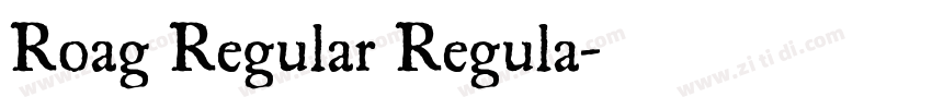 Roag Regular Regula字体转换